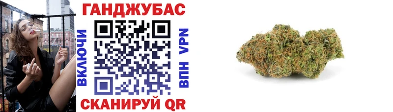 Бошки марихуана конопля  где можно купить   Катав-Ивановск 